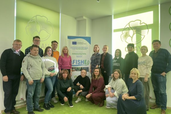 Training of the teaching staff (9)